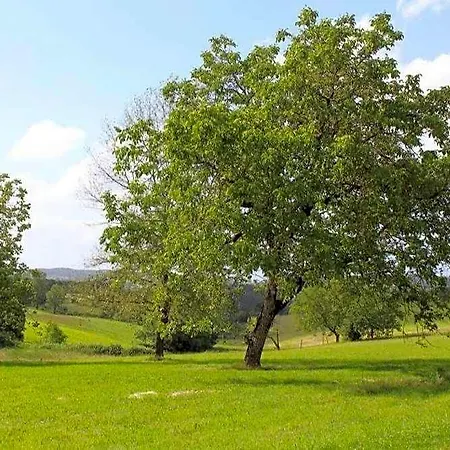 Domaine De Pech Mortier Bed & Breakfast Marcillac-Saint-Quentin